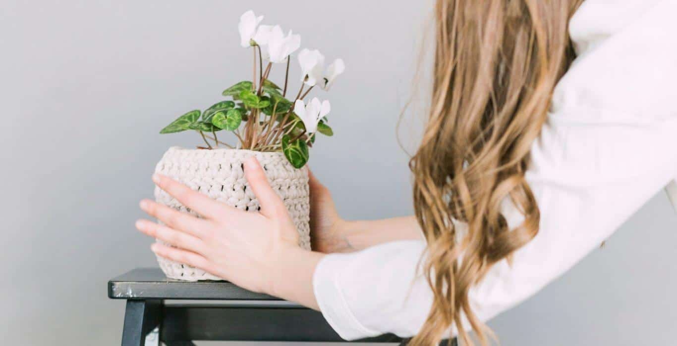 woman setting a plant on an end table